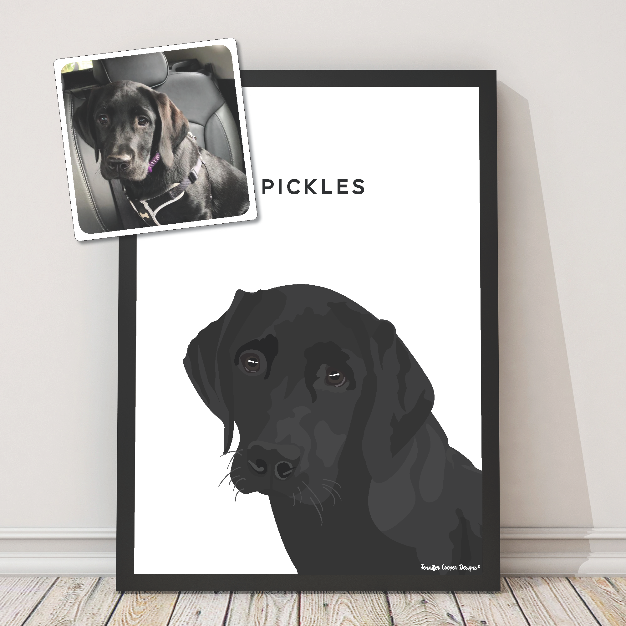 Pet Portraits