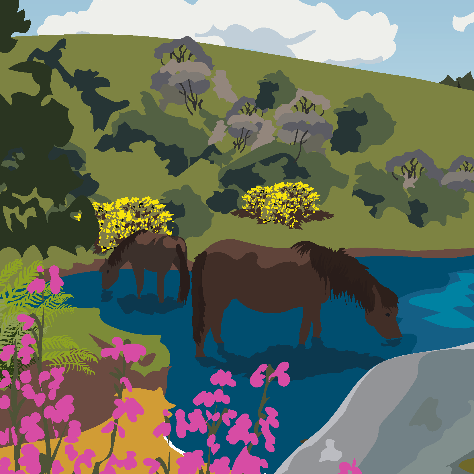 Dartmoor greeting cards (Pack of 5)